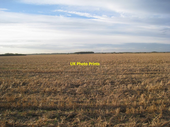 Photo 6"x4" Howell Fen Ewerby Thorpe c2012