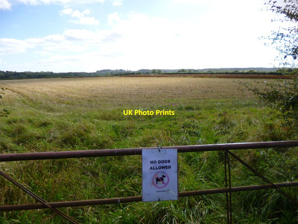 Photo 6"x4" Cowgrove, stubble field Cowgrove\/SY9899 c2012