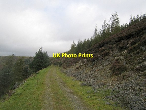 Photo 6"x4" Logging road, Langhaugh Langhaugh\/NT2031 c2012