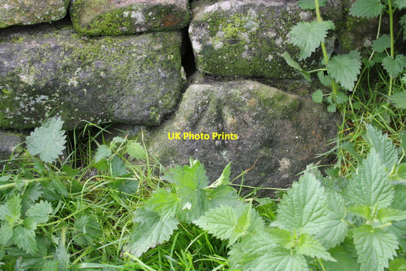 Photo 6"x4" Benchmark on wall stone beside track to Sowden Beck Farm East Witton c2012