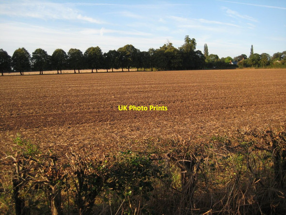 Photo 6"x4" Ploughed field Earl's Croome c2012