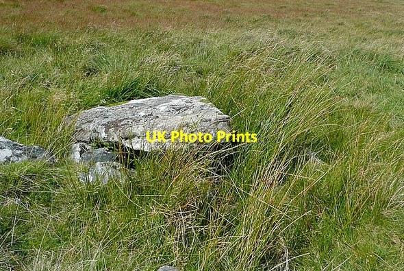 Photo 6"x4" Cist above Langcombe Brook Langcombe Head c2012