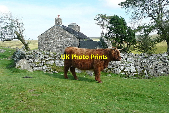 Photo 6"x4" Ditsworthy Warren House Sheepstor c2012 P1