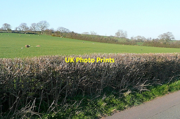 Photo 6"x4" Pasture near Llanddew Brecon\/Aberhonddu c2012