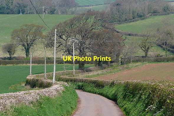 Photo 6"x4" Tidy countryside Blackford\/SS9245 c2012
