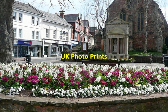 Photo 6"x4" Minehead in bloom Minehead c2012