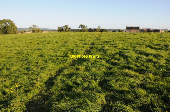 Photo 6"x4" Field north of Tanhouse Farm Ham\/ST6898 c2012