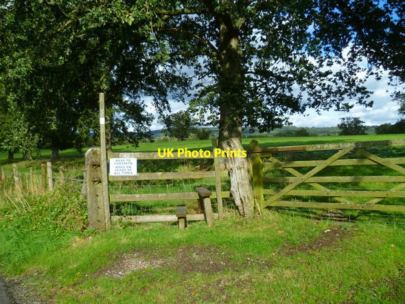 Photo 6"x4" The Orange Way in Dorset and Somerset (273) Wincanton c2012