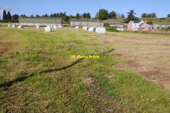 Photo 6"x4" Park Farm Ham\/ST6898 c2012