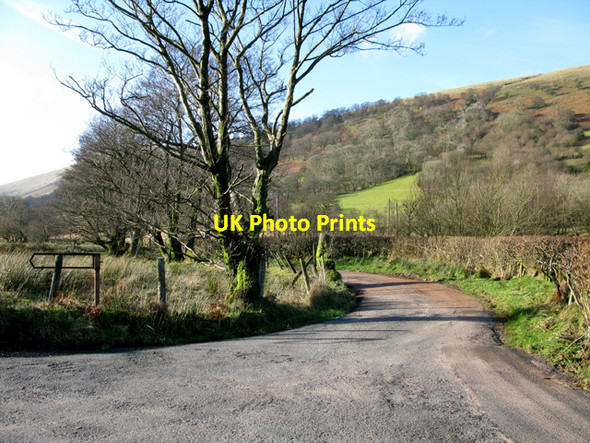 Photo 6"x4" Branch in road near Tyle-garw Heol Senni c2012