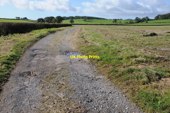 Photo 6"x4" Farm road in a field Hystfield c2012