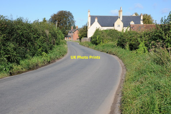 Photo 6"x4" Road passing Pedington Manor Farm Hystfield c2012