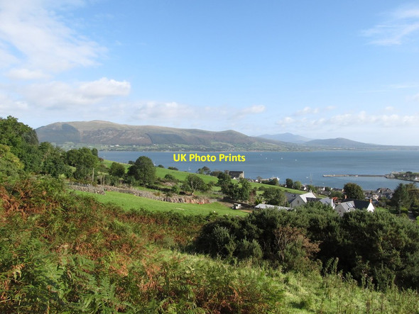 Photo 6"x4" View towards Carlingford Harbour from the lower stretch of the Commons Loop Path Carlingford c2012