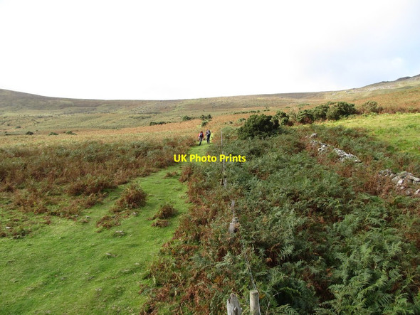 Photo 6"x4" Path leading uphill towards the Tain Way track Carlingford c2012