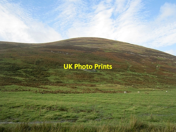 Photo 6"x4" Back of Posso Craig Langhaugh\/NT2031 c2012