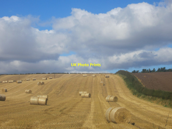 Photo 6"x4" Straw bales in the field Berwick-upon-Tweed c2012
