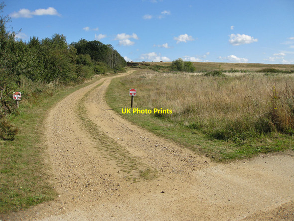 Photo 6"x4" Track to Middle Breck Wood Great Ryburgh c2012