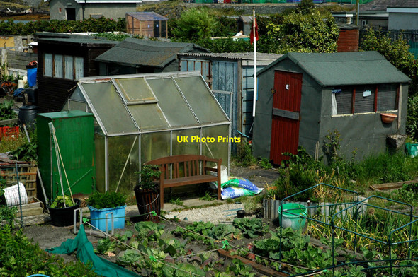 Photo 6"x4" Allotments on Prince of Wales Road Holyhead\/Caergybi c2011
