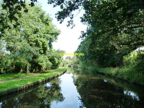 Photo 6"x4" Staffs and Worcs canal above Debdale lock Cookley\/SO8480 c2012