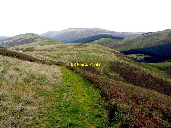 Photo 6"x4" Footpath to Trowupburn Madam Law c2012
