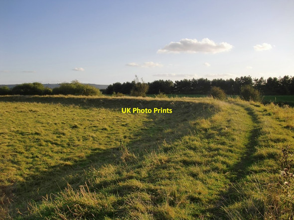 Photo 6"x4" Raised causeway by the River Arun, Pulborough Brooks Pulborough c2012
