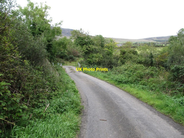 Photo 6"x4" The Ballygoly Road descending towards the bridge over the Big River Carlingford c2012