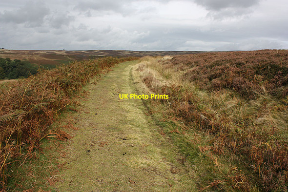 Photo 6"x4" Former tramway, Goathland Goathland c2012