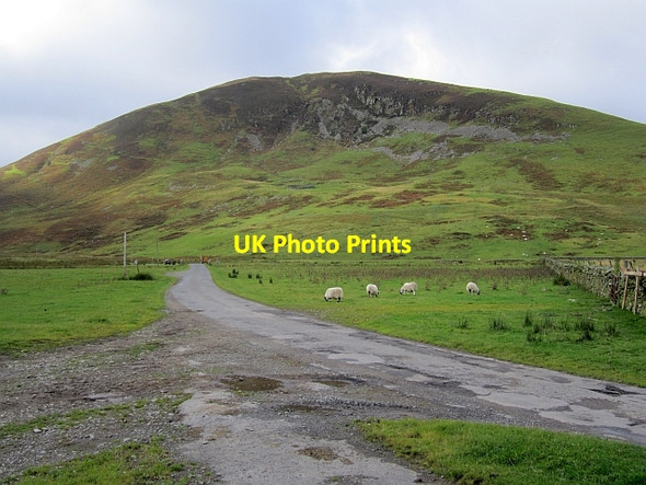 Photo 6"x4" Road up the Manor Valley Glenrath c2012