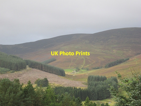 Photo 6"x4" Old Kirkhope Langhaugh\/NT2031 c2012