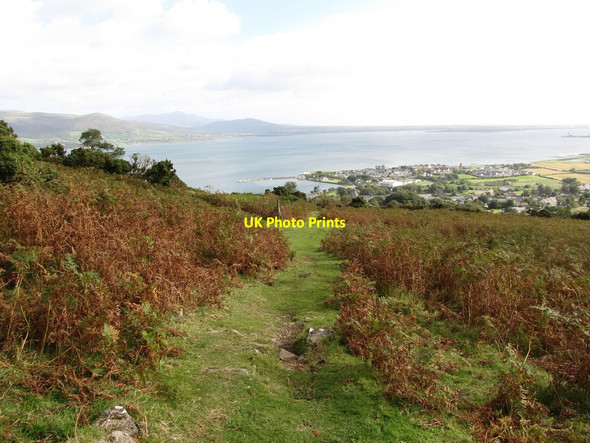 Photo 6"x4" Short cut path from the Tain Way to the centre of Carlingford Carlingford c2012