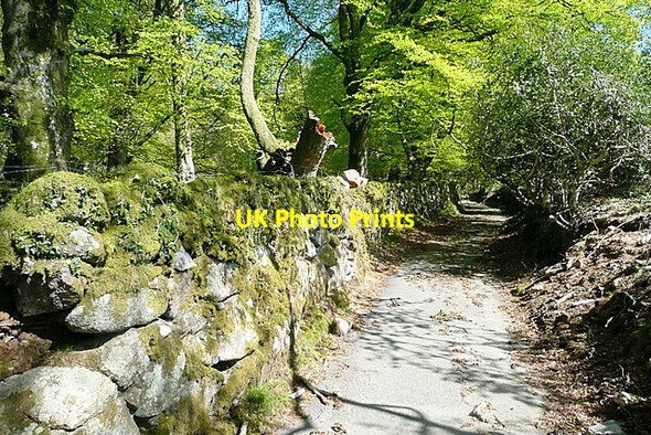 Photo 6"x4" Track at Rook Torr\/SX6160 c2012