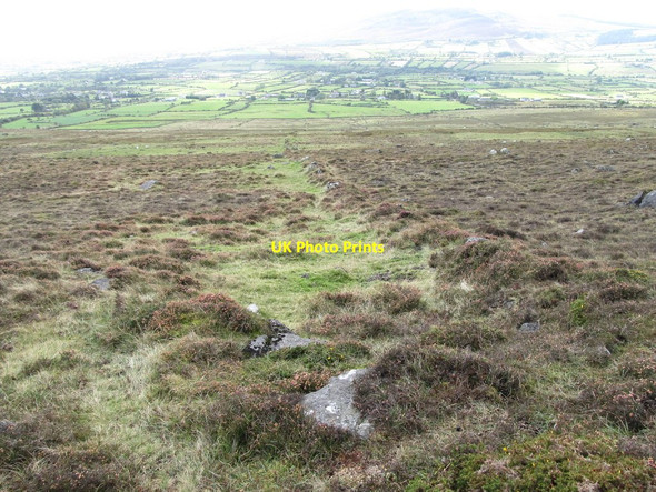 Photo 6"x4" A field boundary on the moorland Carlingford c2012