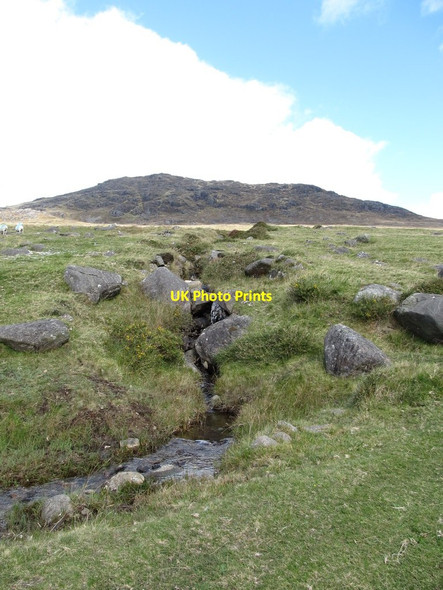 Photo 6"x4" Mountain stream descending down towards the Tain Way trail Carlingford c2012