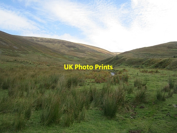 Photo 6"x4" Linghope Burn Langhaugh\/NT2031 c2012