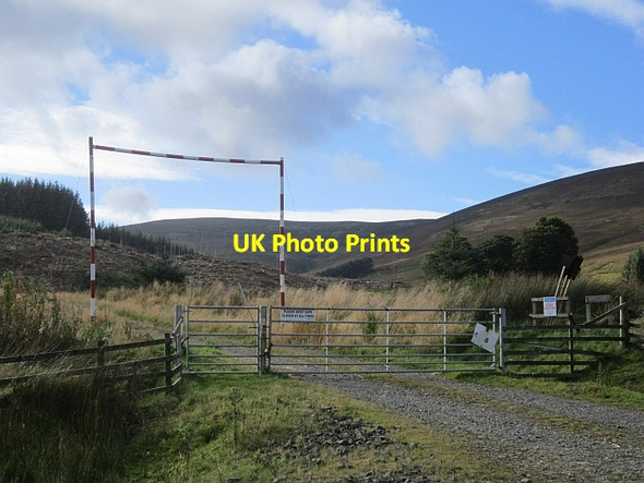 Photo 6"x4" Logging road, Kirkhope Langhaugh\/NT2031 c2012