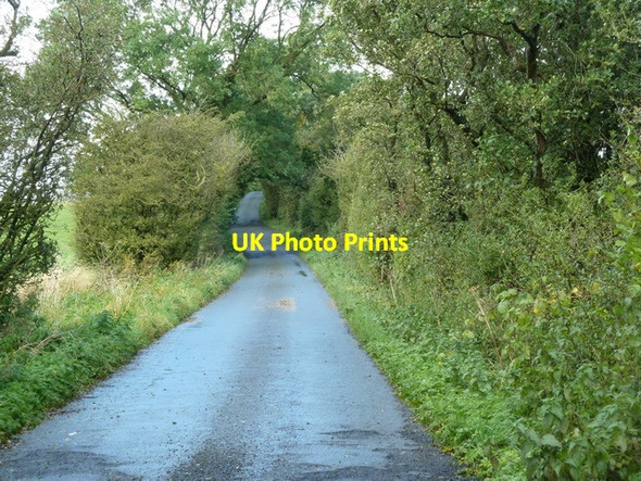 Photo 6"x4" Knot Lane Horton\/SD8550 c2012