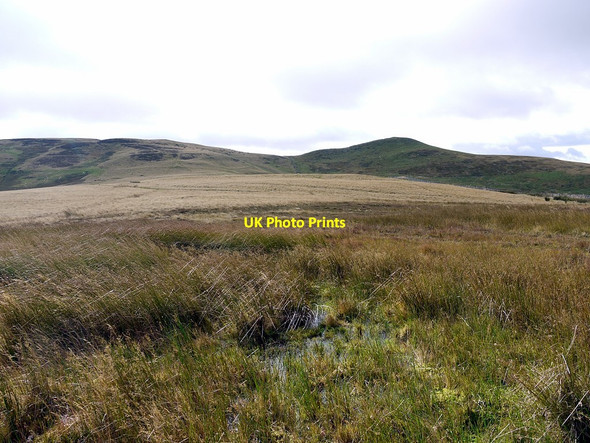 Photo 6"x4" Bog on Border ridge north of Whitelaw Nick Kirk Yetholm c2012