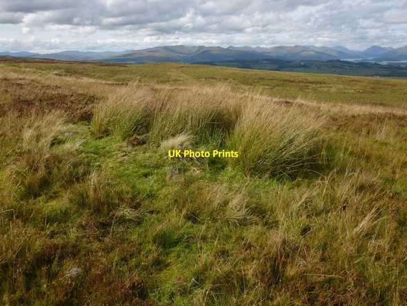 Photo 6"x4" Remains of a cairn on the Hill of Standing Stones Bonhill c2012