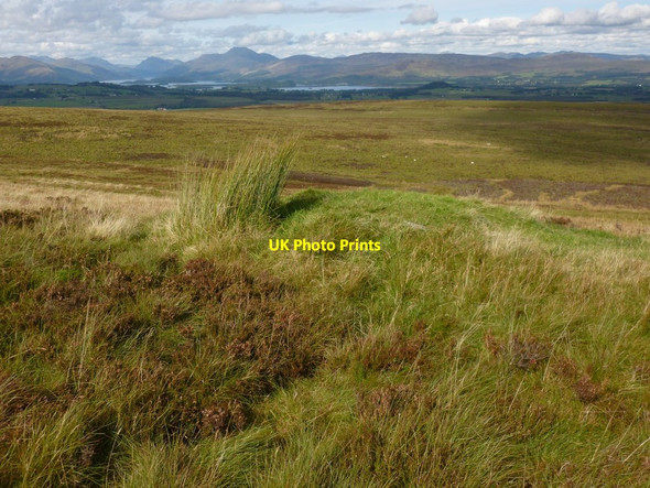 Photo 6"x4" Possible cairn on the Hill of Standing Stones Bonhill c2012