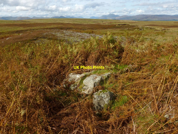 Photo 6"x4" Possible remains of a structure Finland Burn c2012