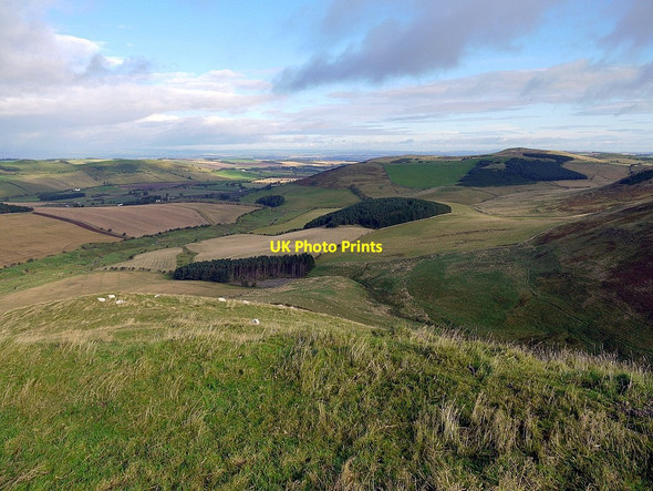 Photo 6"x4" View north from Green Humbleton Kirk Yetholm c2012