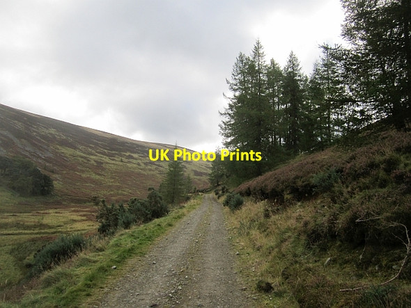 Photo 6"x4" Road up Glen Sax Bonnington\/NT2538 c2012