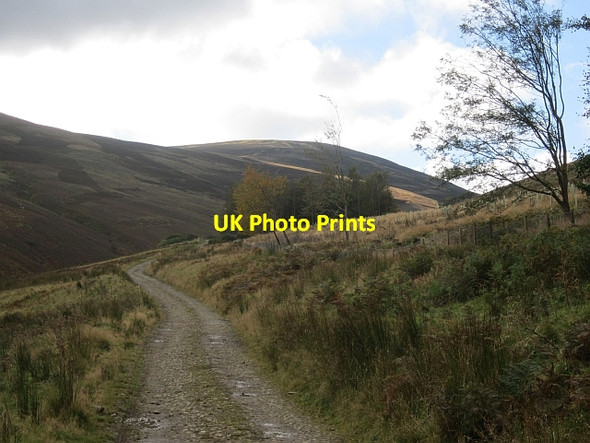 Photo 6"x4" Road in Glen Sax Laverlaw c2012