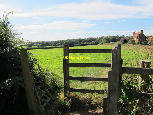 Photo 6"x4" Footpath from St George's Crowhurst\/TQ3947 c2012