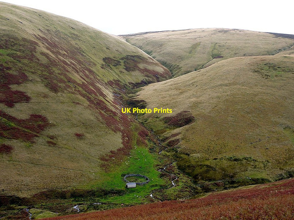 Photo 6"x4" Sheepfold by Trowup Burn Loft Hill\/NT8725 c2012