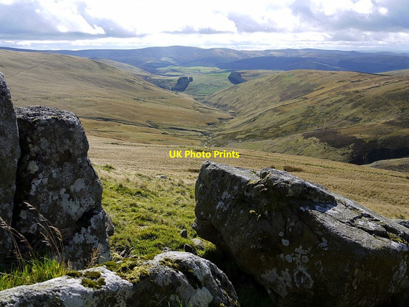 Photo 6"x4" Row Hope from Corbie Craig Sourhope c2012