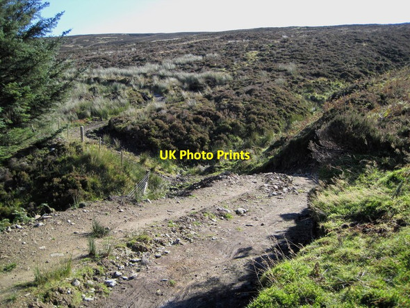 Photo 6"x4" Track on Yellow Mire Hill Laverlaw c2012