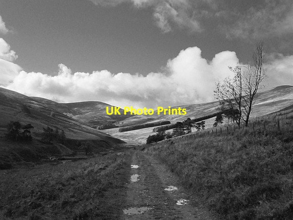 Photo 6"x4" View up Glen Sax Bonnington\/NT2538 c2012