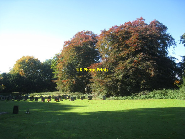 Photo 6"x4" Autumn colour in Sledmere churchyard Sledmere c2012