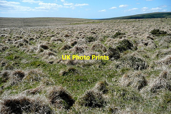 Photo 6"x4" Near the cist at Ranny Brook Head Torr\/SX6160 c2012